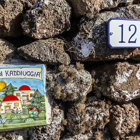 Dammuso I Pini Di Kaddiuggia Villa Campobello Luaran gambar